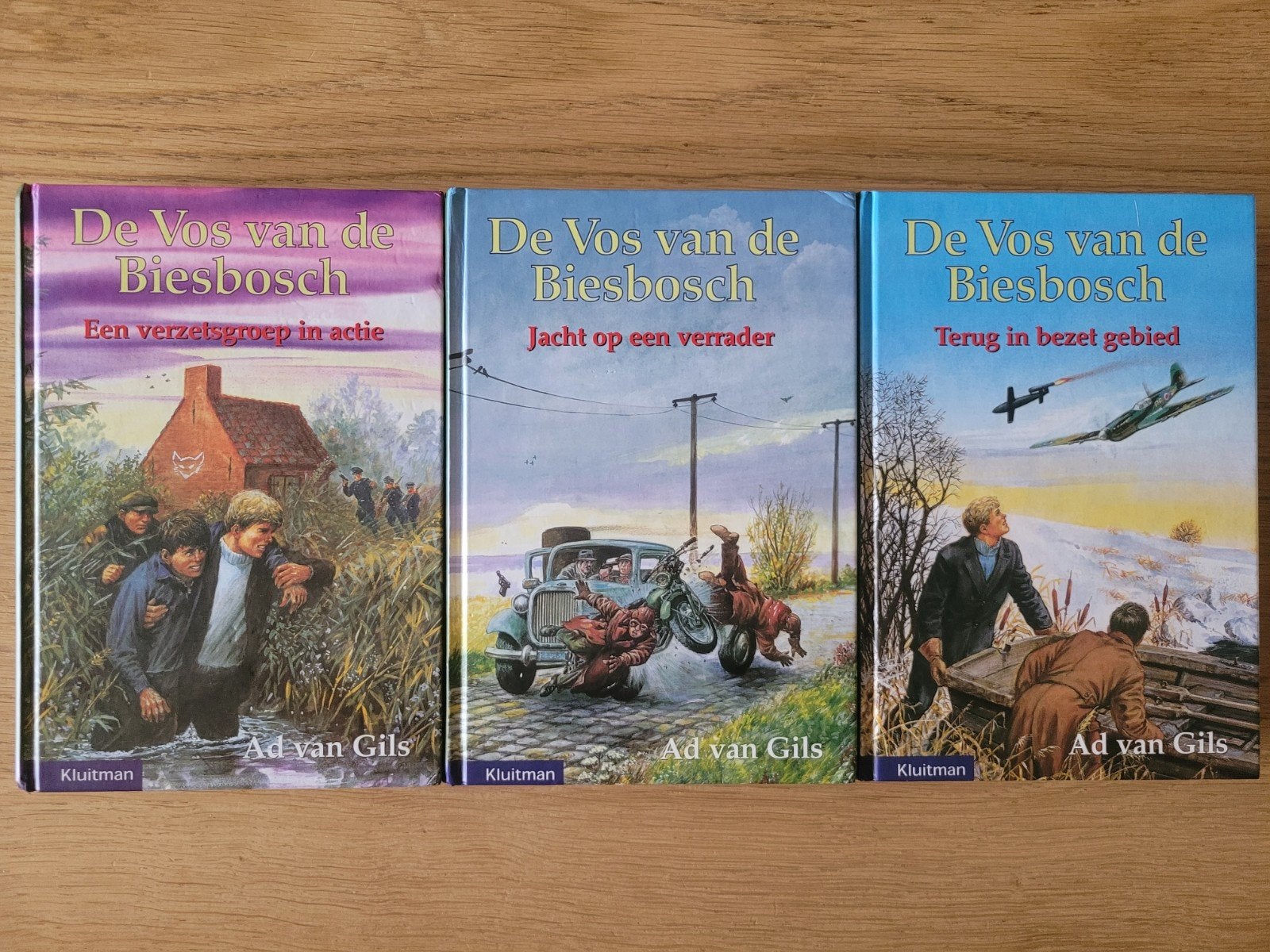 De Vos van de Biesbosch trilogie, Ad van Gils, 2e WO, IZGS!, Boeken, Ophalen of Verzenden, Gelezen