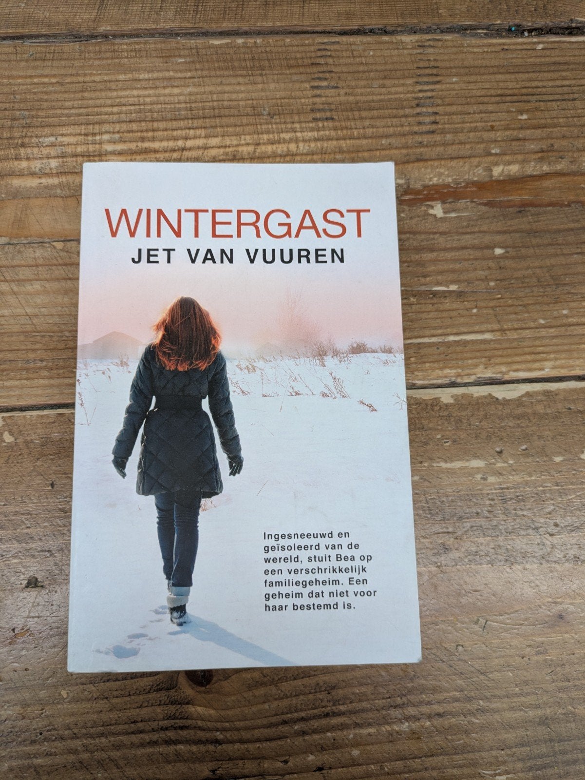 Gratis op te halen! Jet van Vuren Wintergast, Boeken, Romans, Ophalen, Gelezen