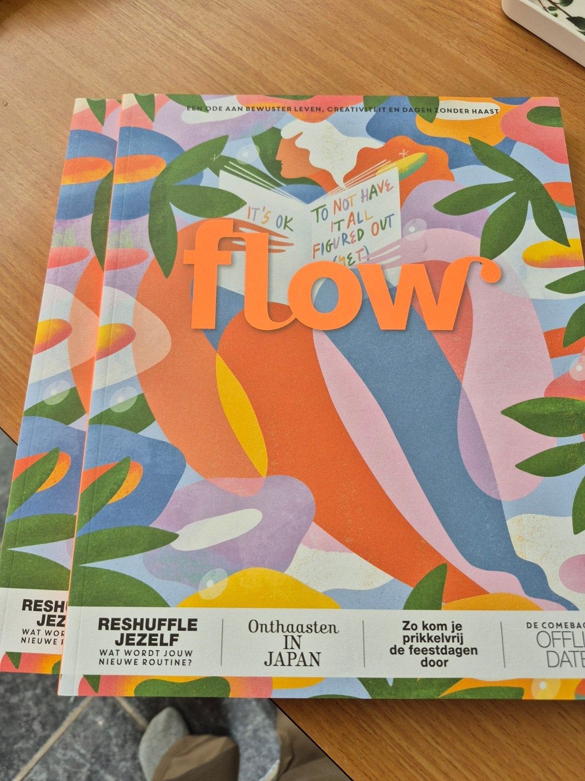 Flow Magazine - Nummer 10 - 2024 - Nieuwstaat, Ophalen of Verzenden, Nieuw, Lichaam en Geest