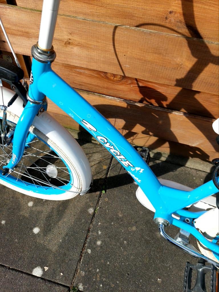 Kinderfiets 20 inch, Ophalen, Gebruikt