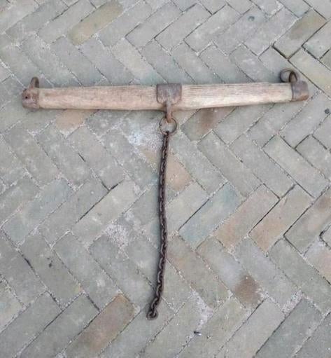 Paarden dissel, Ophalen of Verzenden