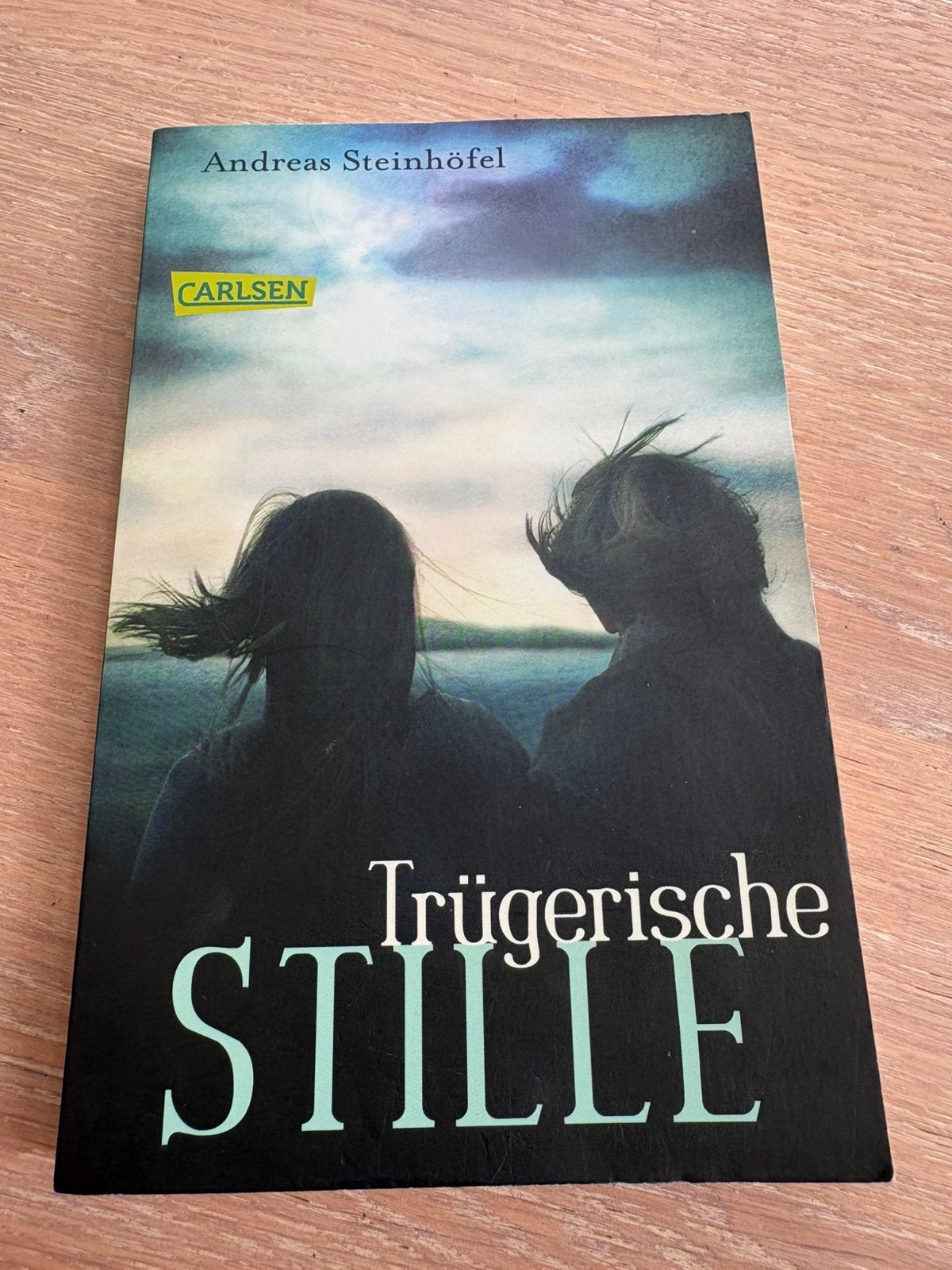 Trügerische Stille - Andreas Steinhöfel, Ophalen of Verzenden, Zo goed als nieuw