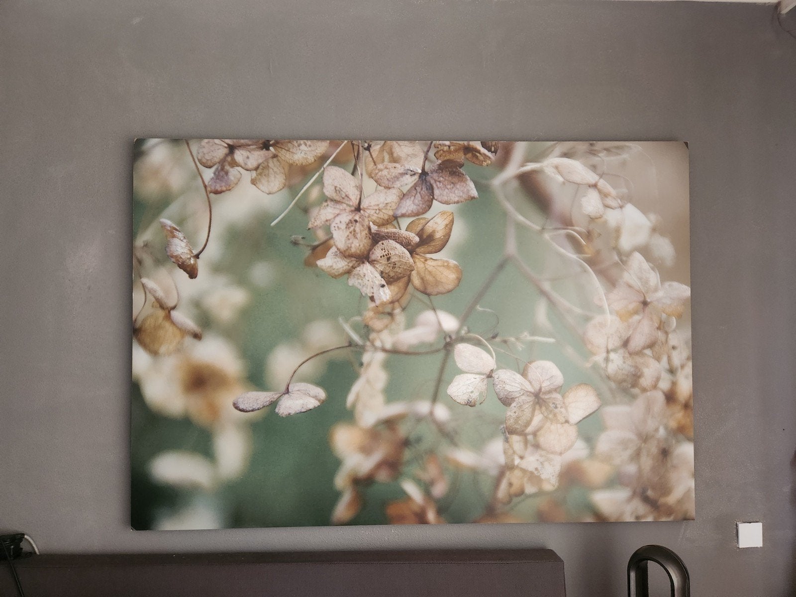 Pure Prints Canvas Schilderij - Gedroogde Bloemen, 50 – 75, Oorspronkelijke maker, Ophalen of Verzenden, 75 tot 100 cm