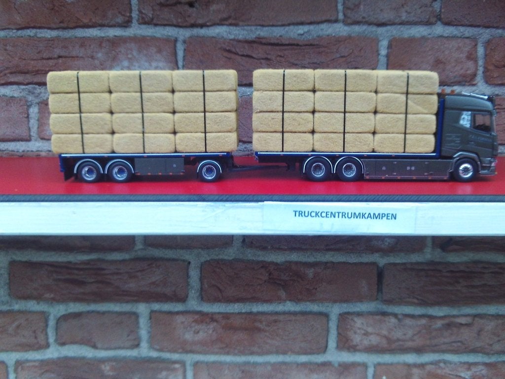 Tekno  Daf  XF  van  P. & L. forman.