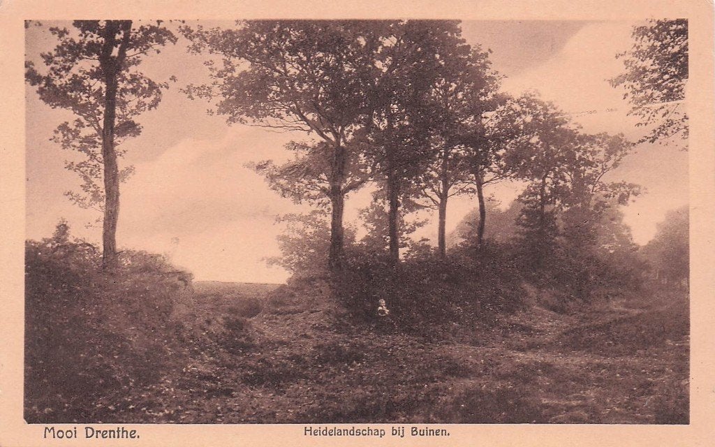 Buinen - Heidelandschap met kind, Ophalen of Verzenden, 1920 tot 1940, Ongelopen, Drenthe
