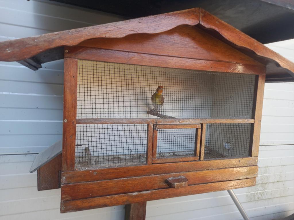 Bastaard putter plus kooi, Dieren en Toebehoren, Ophalen, Zo goed als nieuw, Metaal, Vogelkooi