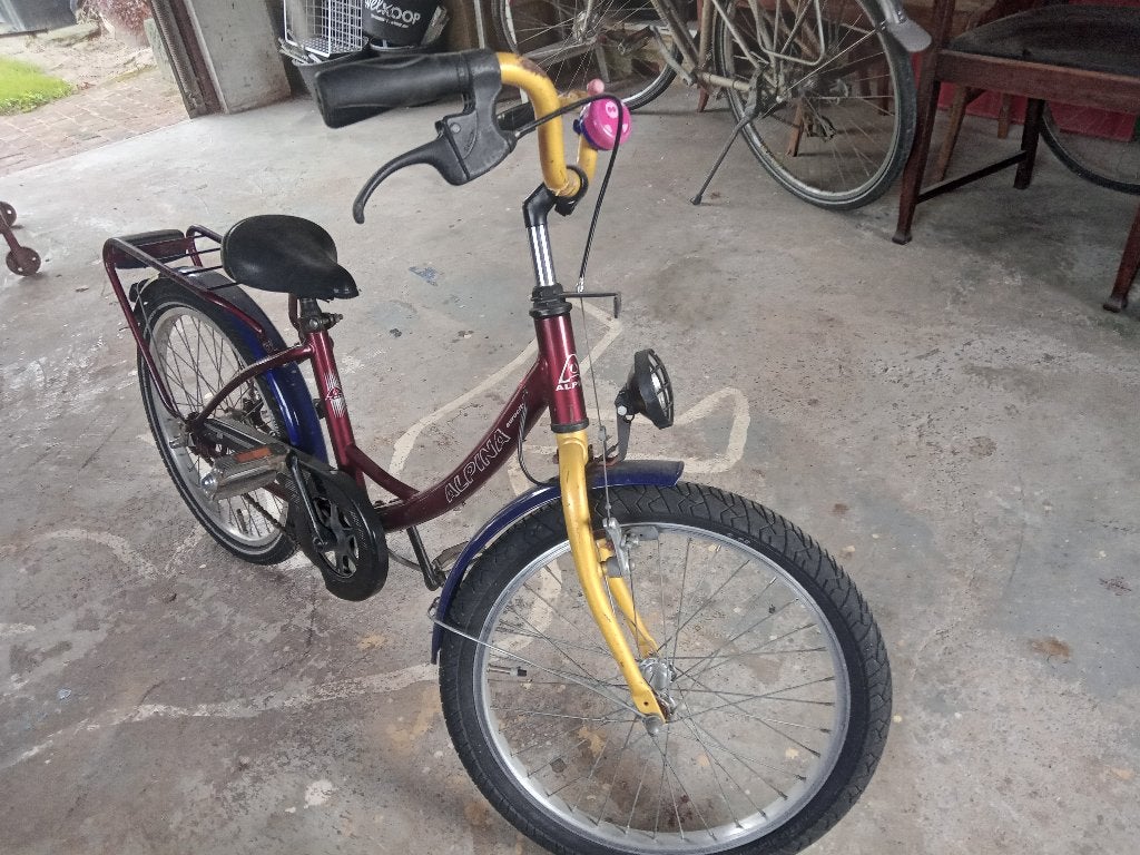 Alpina kinderfiets 20 inch, Fietsen en Brommers, Ophalen, Terugtraprem, Gebruikt, Alpina