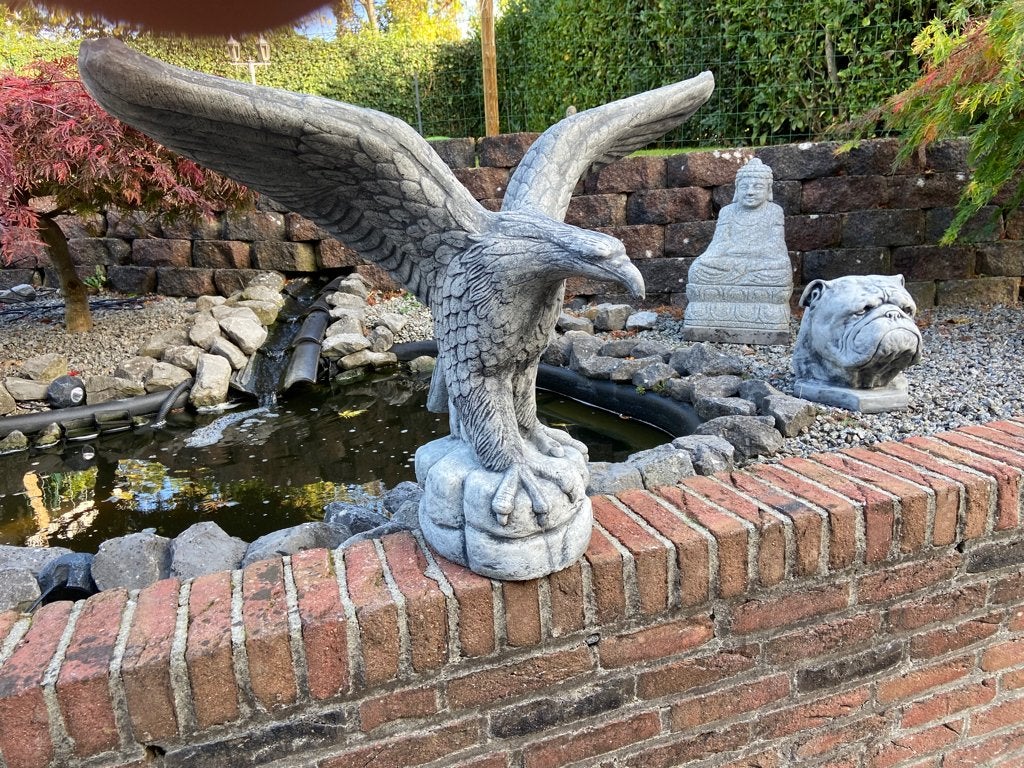 Adelaar 90x70cm, Ophalen, Nieuw, Beton, Dierenbeeld
