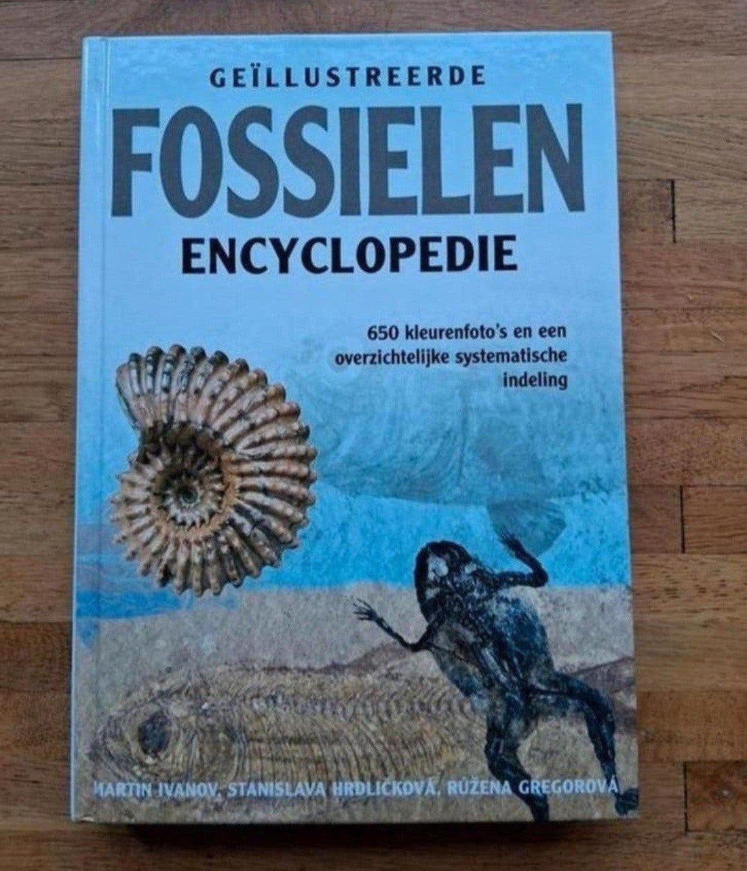 geïllustreerde fossielen encyclopedie informatief fotoboek, Ophalen of Verzenden, Zo goed als nieuw, Natuur algemeen