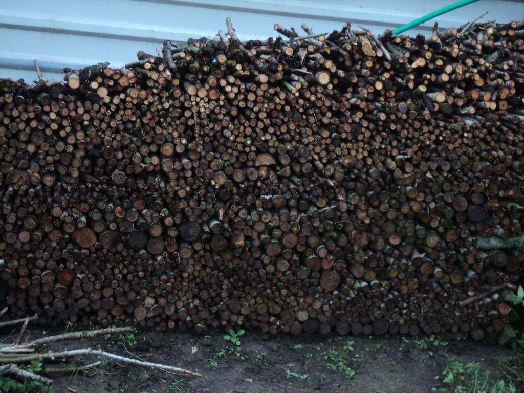 HAARDHOUT MET 50%KORTING MAAR DAN IN 1 KOOP VAN 8 a 9 KUIP, Tuin en Terras, Haardhout, 6 m³ of meer, Ophalen, Stammen