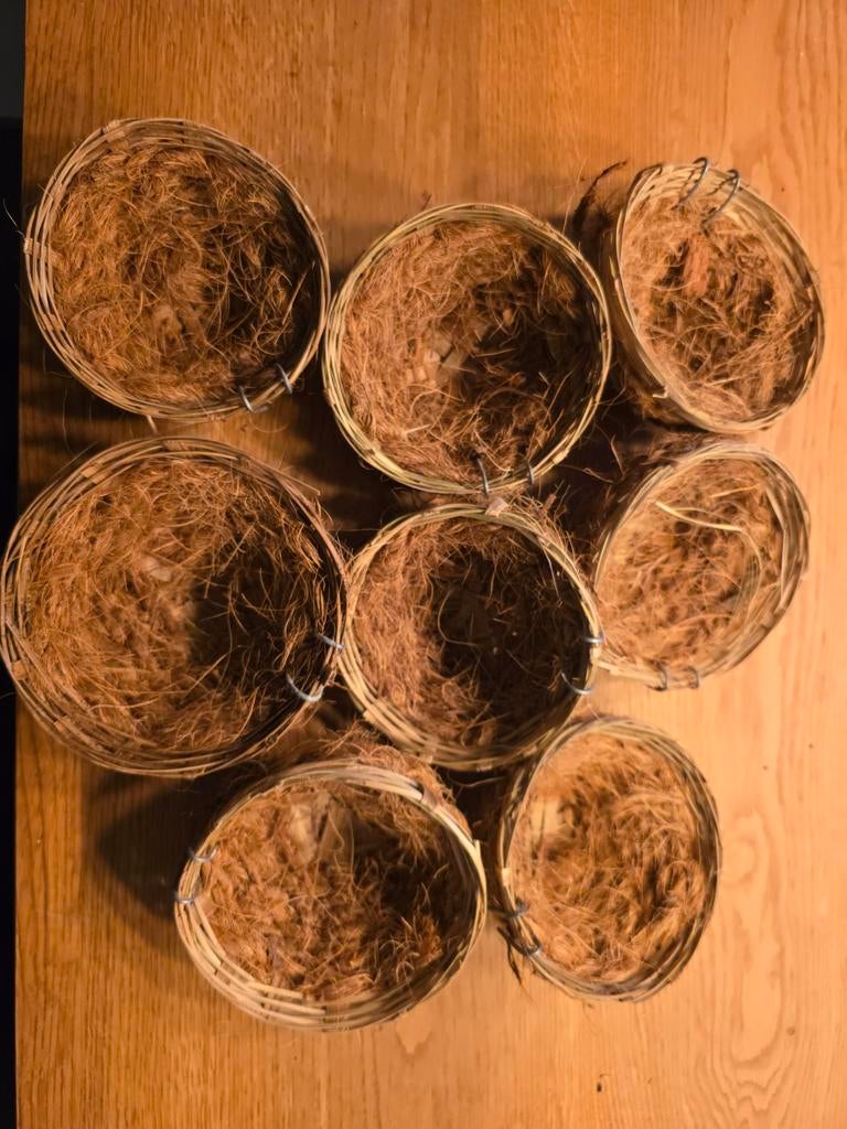 Riet met cocos vogelnestje (11 cm) 8 stuks, Dieren en Toebehoren, Ophalen of Verzenden, Nieuw