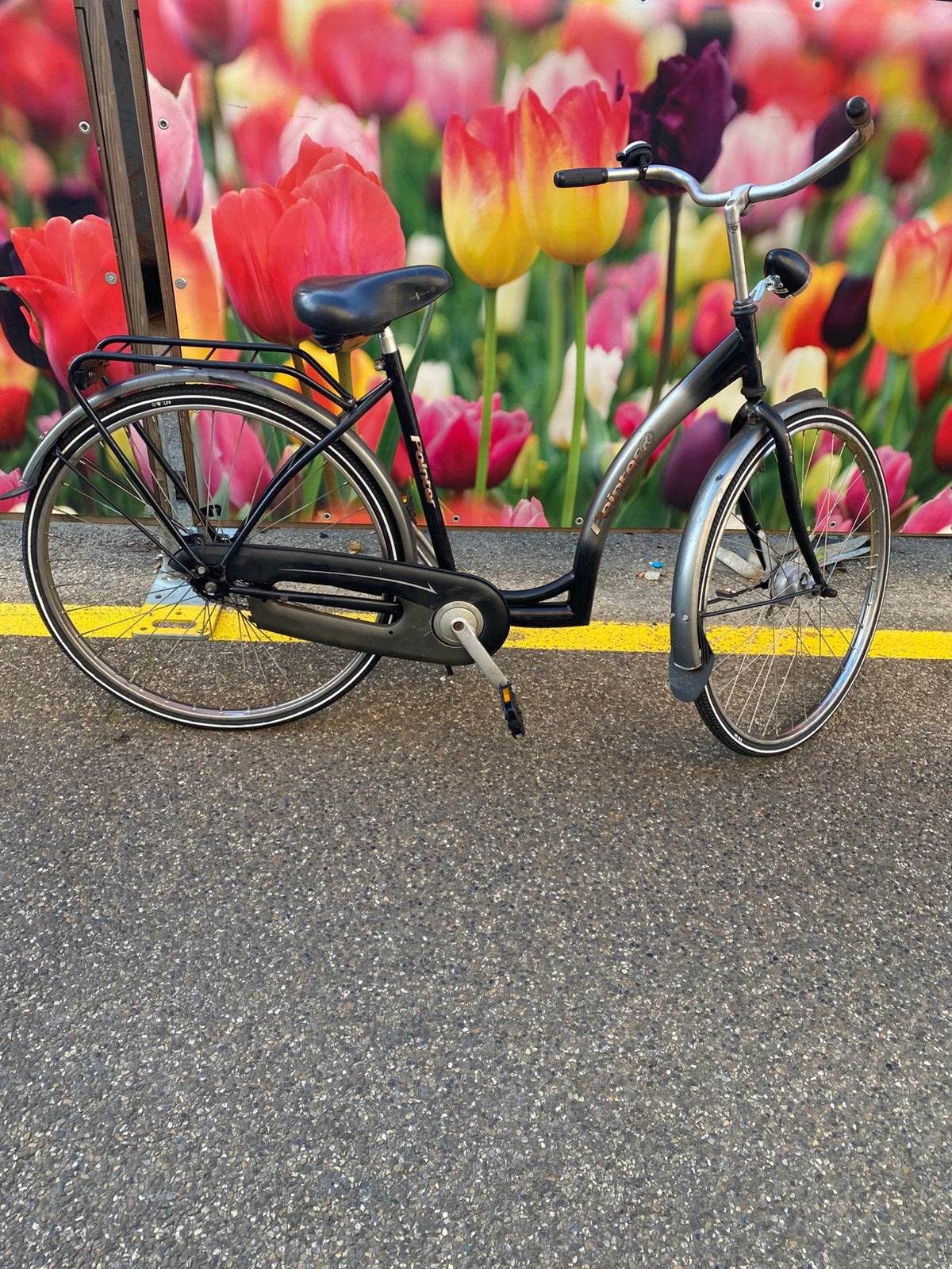 LAGE INSTAP POINTER DAMESFIETS., Fietsen en Brommers, 47 tot 51 cm, Ophalen, Terugtraprem