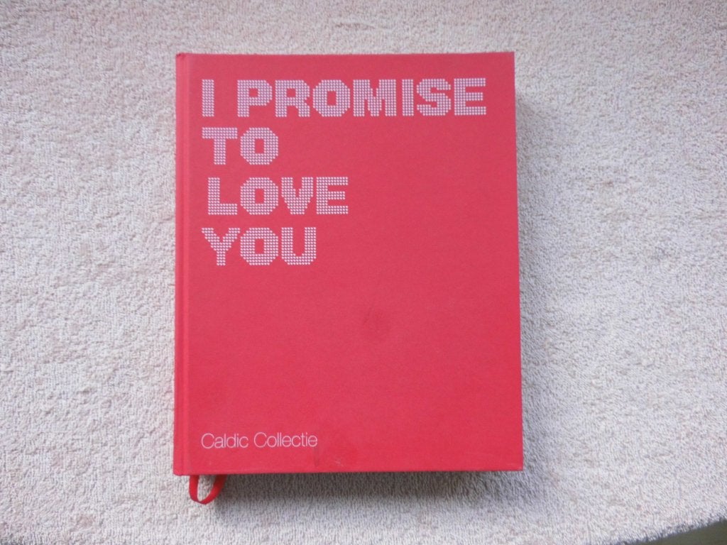 I Promise to Love You - Caldic Collectie Kunstboek, Boeken, Gelezen, Caldic Collectie, Ophalen of Verzenden, Overige onderwerpen
