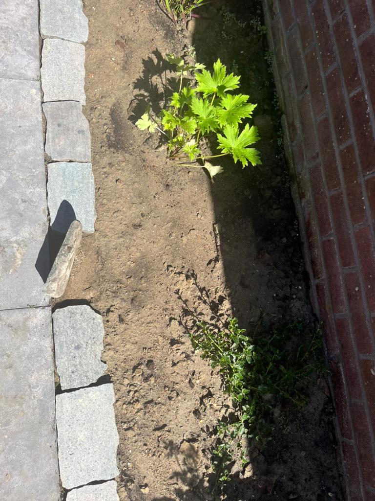 Siersteen,  125 st. border. 0.15-0.20 lang. Ca. 0.10 breed., Tuin en Terras, Bielzen en Borders, Ophalen, Gebruikt, Minder dan 100 cm
