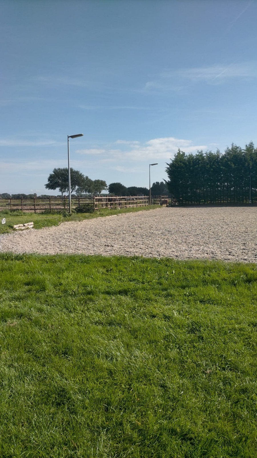 Gezellige pensionstal heeft plek, Weidegang