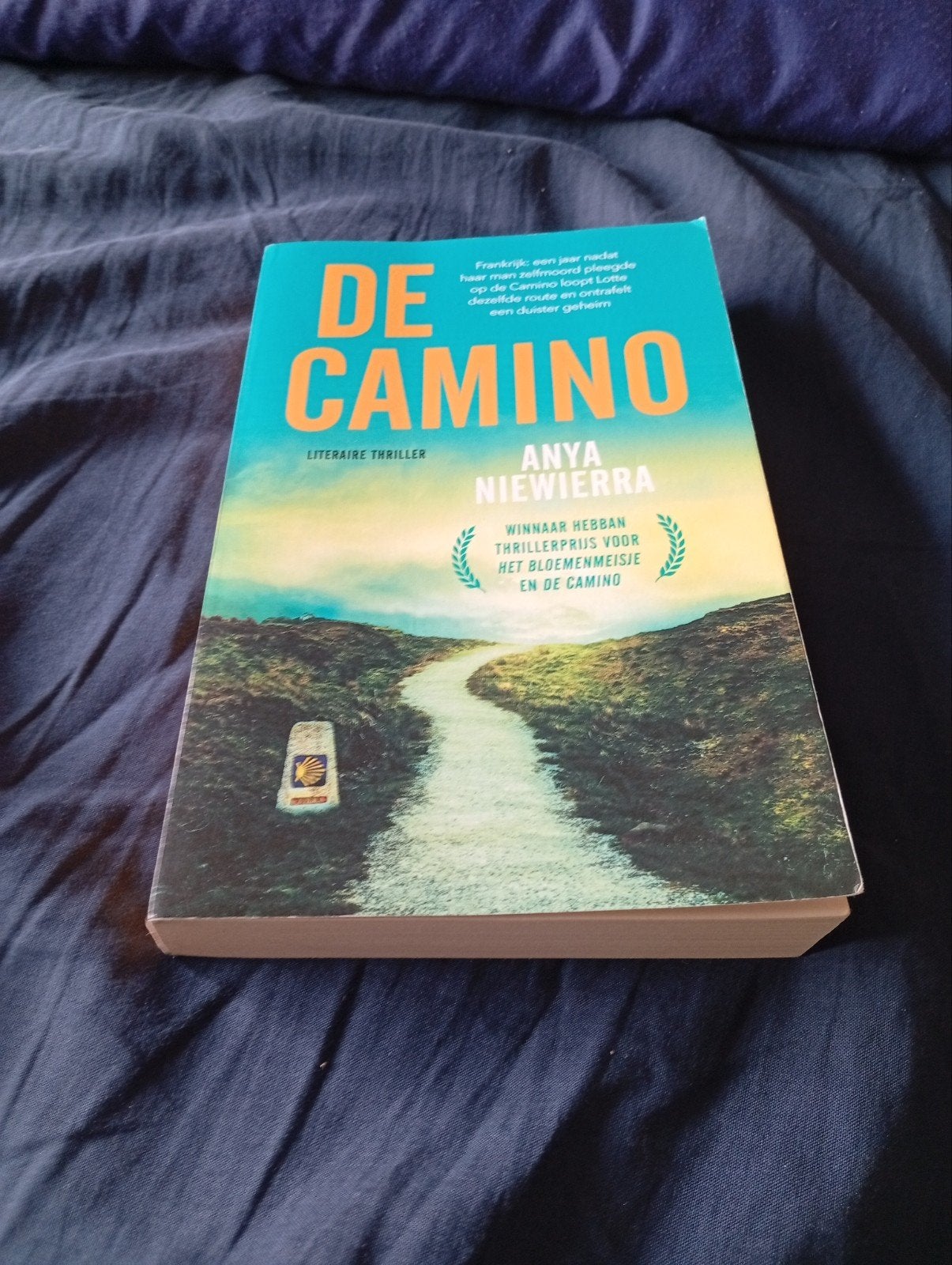 De Camino - Anya Niewierra (Literaire thriller), Boeken, Ophalen of Verzenden