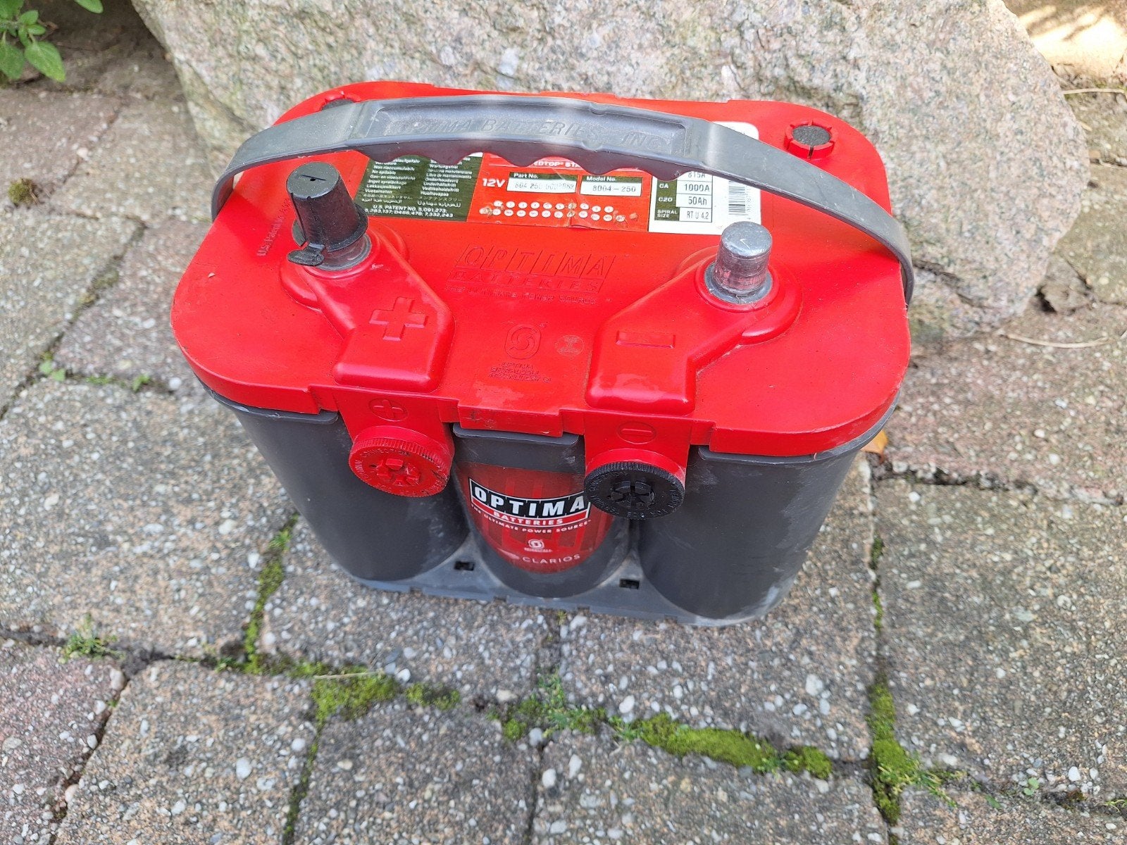 Optima rood redtop, Ophalen