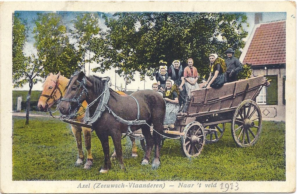 Axel Naar ,t Veld 1913 met boerenwagen en klederdracht(mooi), Verzenden, Voor 1920, Ongelopen, Zeeland