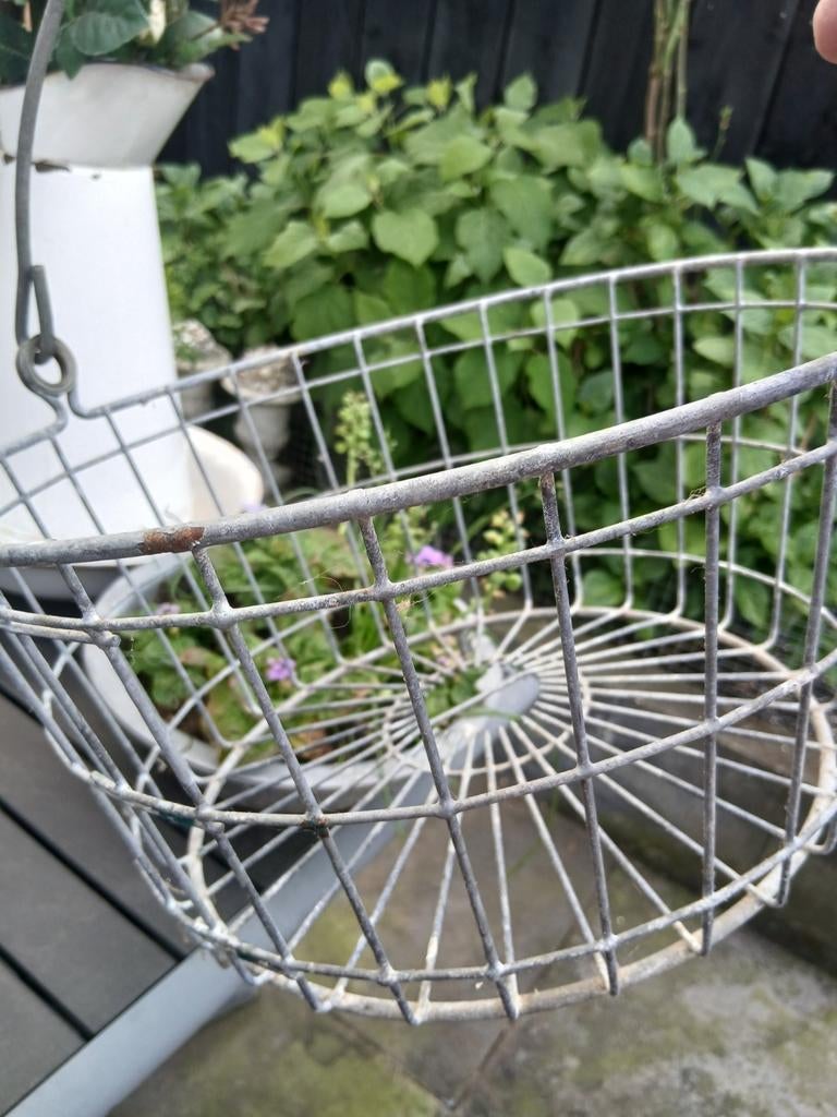 Verzinkte aardappelmand, laag model, Ophalen of Verzenden