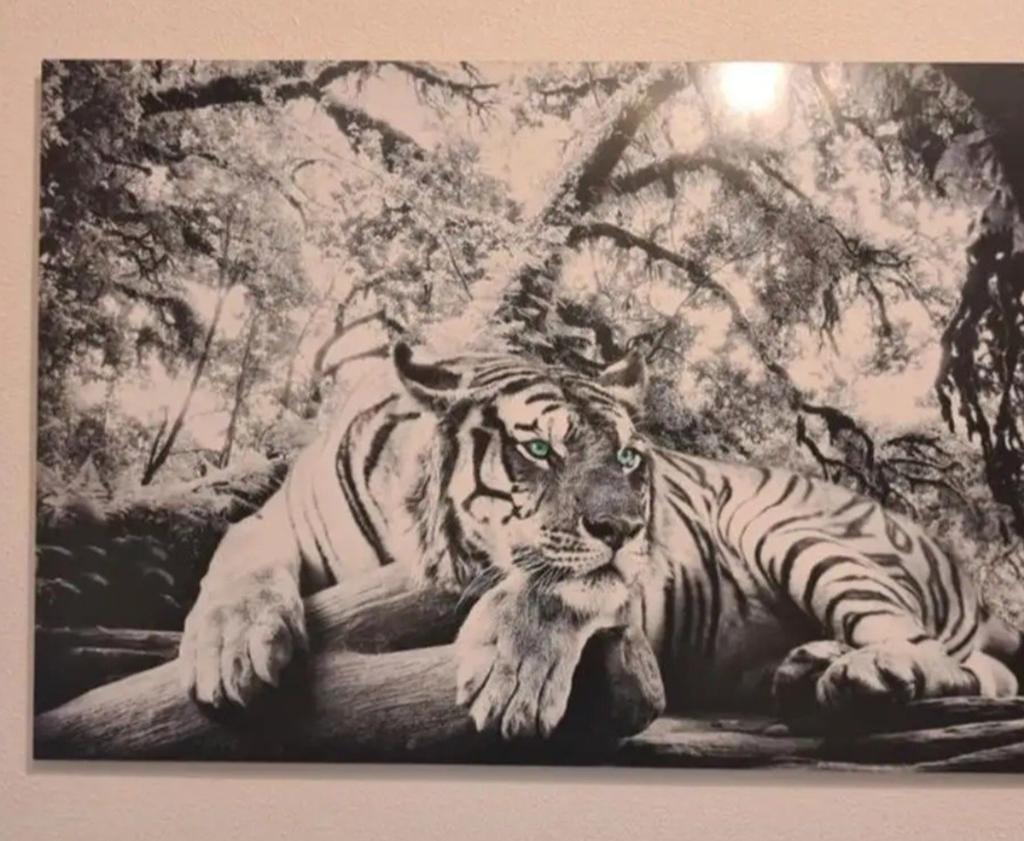 Prachtig canvas schilderij van een tijger, Ophalen