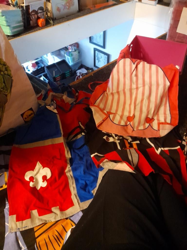 Ridder- en prinsessenschortjes (Zeeman), Ophalen of Verzenden, Nieuw