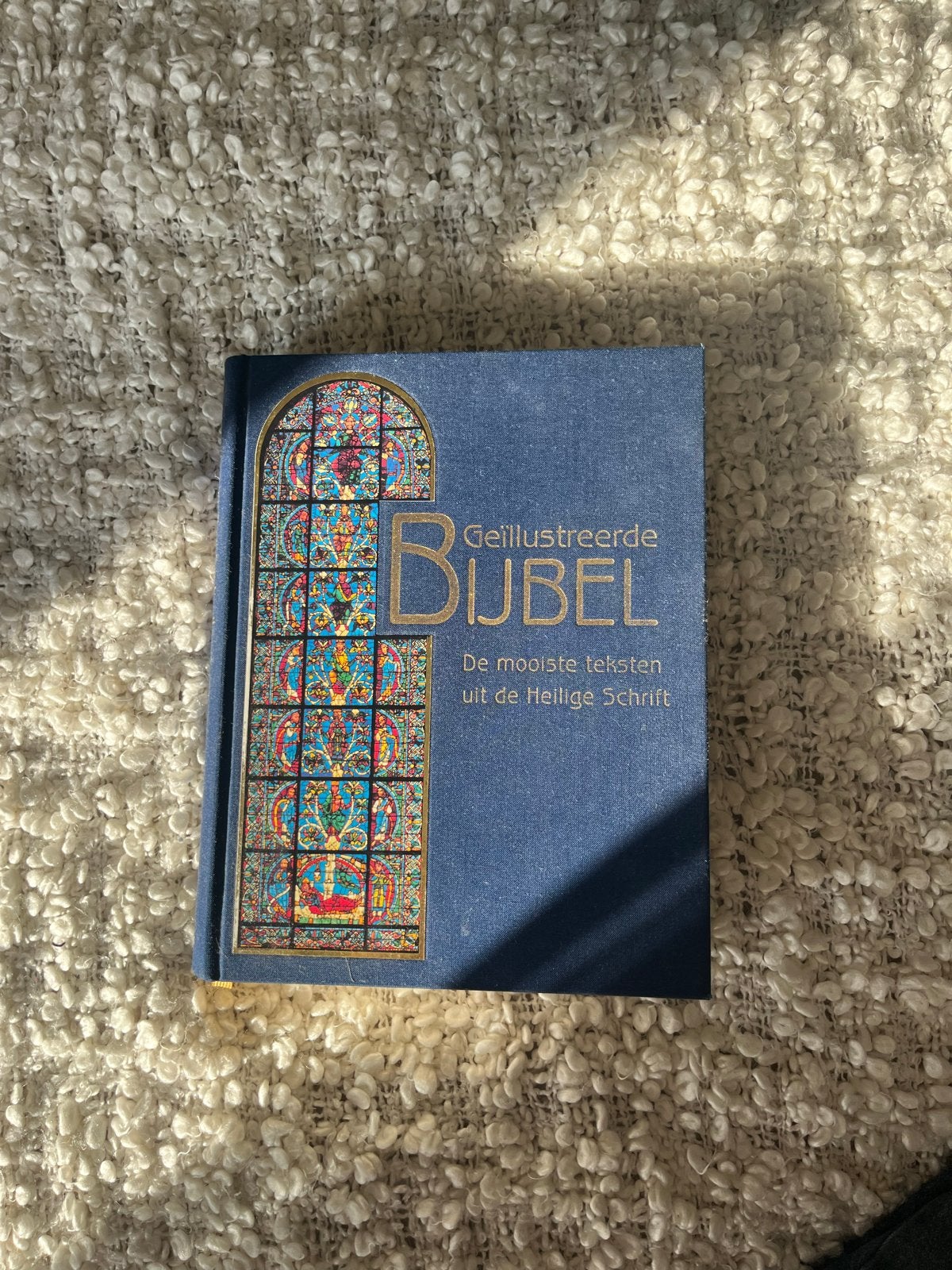 Geïllustreerde Bijbel - Reader's Digest, Ophalen of Verzenden, Zo goed als nieuw, Christendom | Katholiek