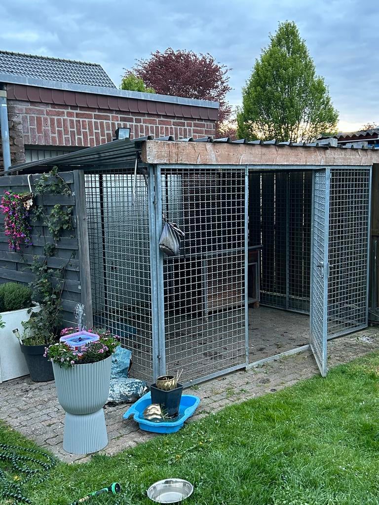 Mega stevige buitenren met dak 310x240x185 cm incl binnenhok, Ophalen, Hondenkennel, 100 cm of meer, 110 cm of meer