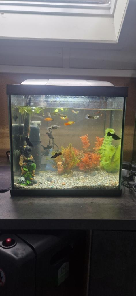 Aquarium 30 liter, Dieren en Toebehoren, Vissen | Aquaria en Toebehoren, Ophalen of Verzenden, Leeg aquarium