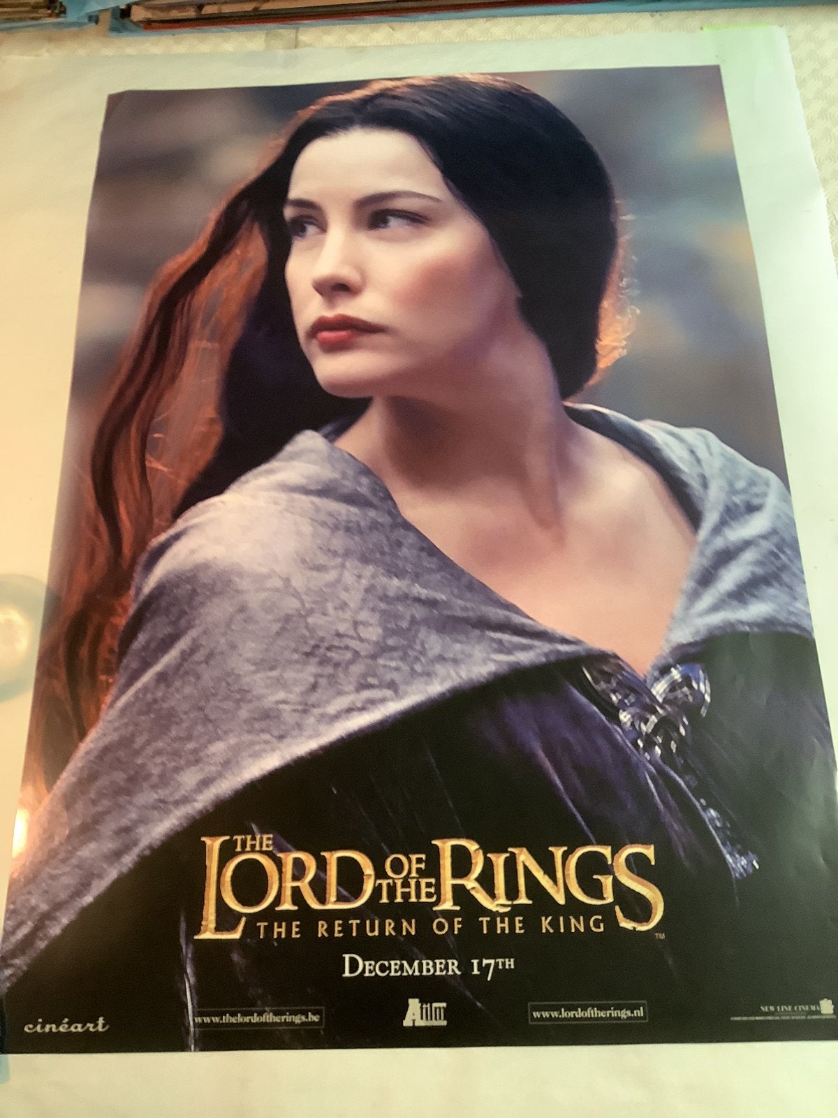 LORD OF THE RINGS   filmposter  70-100 cm, Ophalen of Verzenden