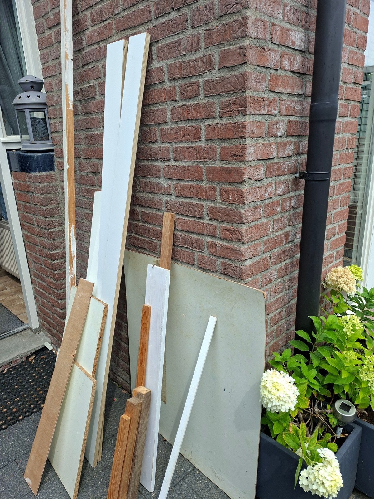 hout ( gratis, Ophalen, Overige houtsoorten, Minder dan 200 cm