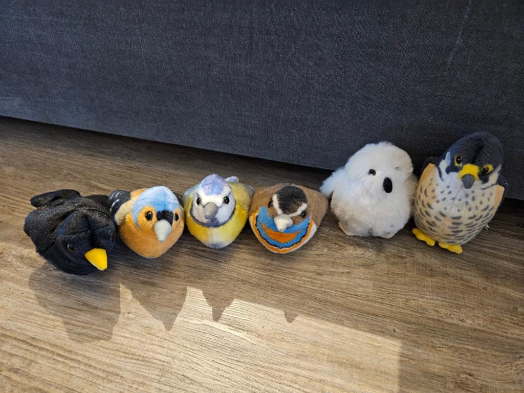 Wild republic vogels, Ophalen of Verzenden, Overige typen