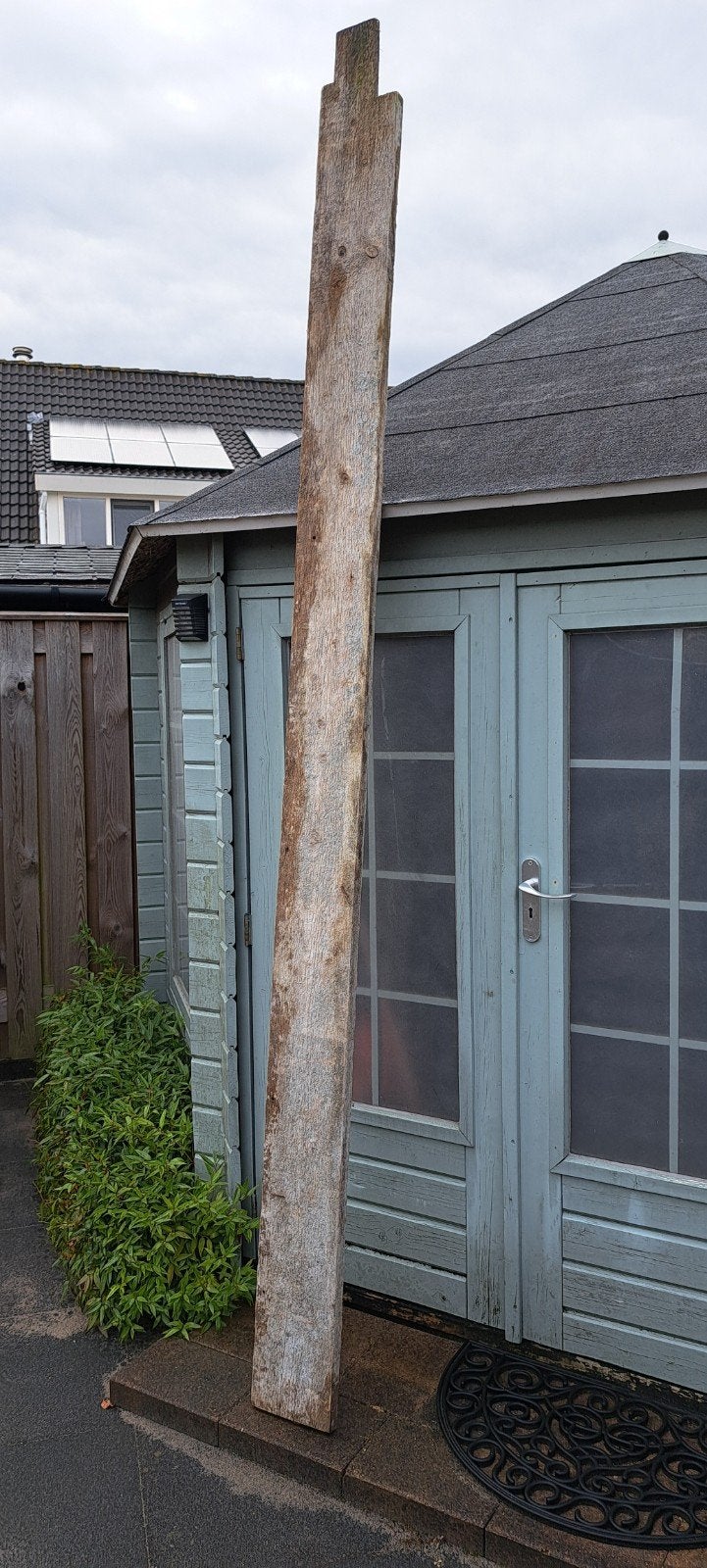 Steigerhouten plank, robuust en stoer met cementsporen., Ophalen, Gebruikt, 25 tot 50 mm, 200 tot 250 cm