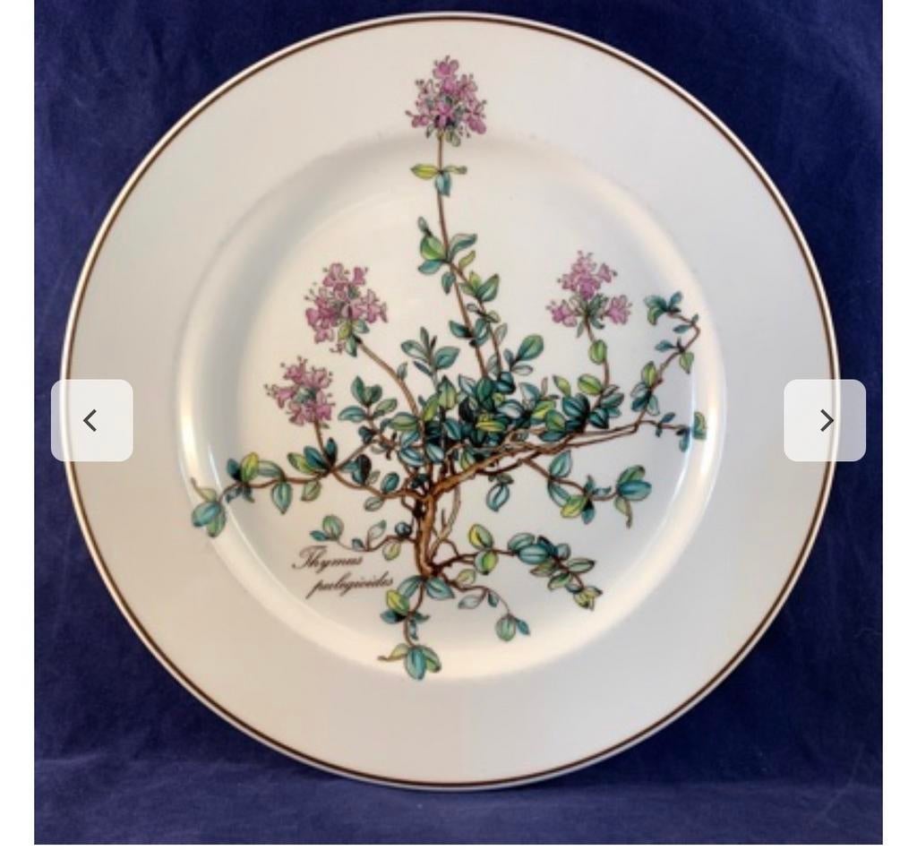 Gezocht: Villeroy & Boch Botanica servies, Gebruikt, Ophalen of Verzenden, Bord(en), Overige stijlen