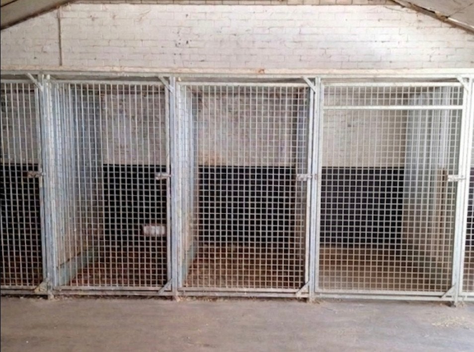 hondenkennel 6 x  gegalvaniseerd ijzer, Ophalen, Gebruikt, 110 cm of meer, 100 cm of meer