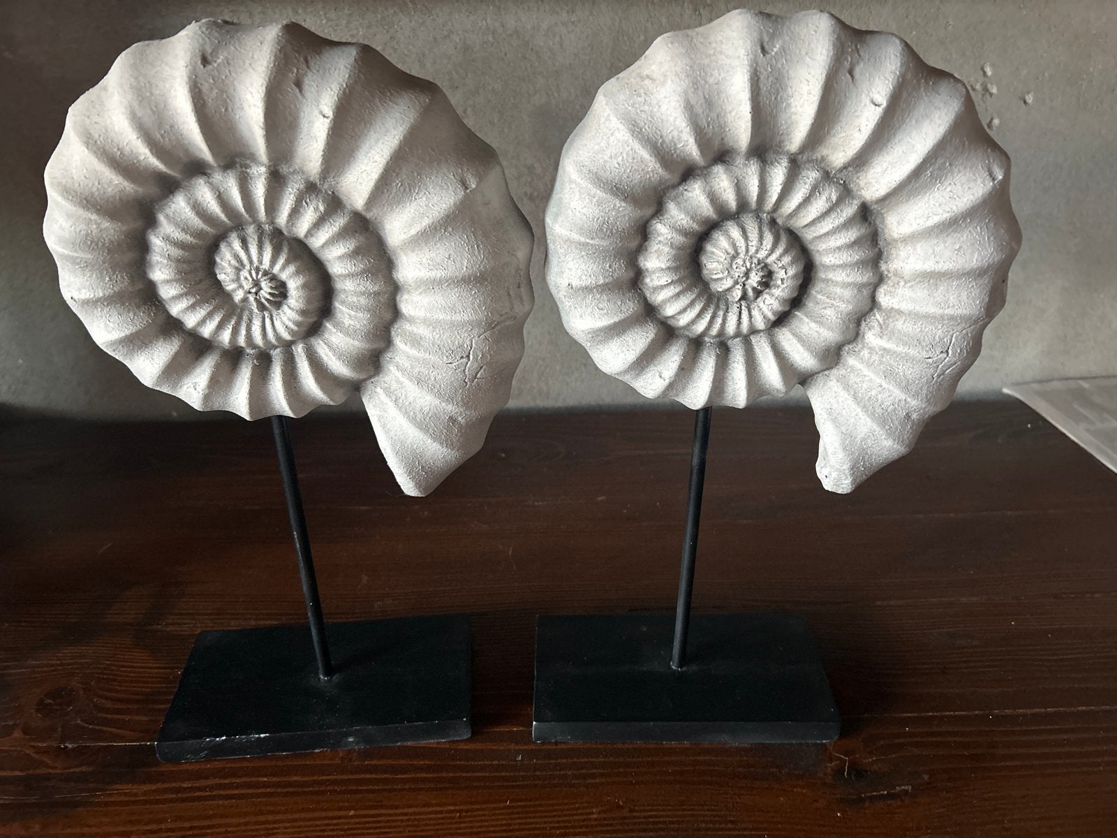 Set van 2 Ammoniet Ornamenten op Standaard - Wit, Overige stijlen, Ophalen of Verzenden, Zo goed als nieuw, Wit