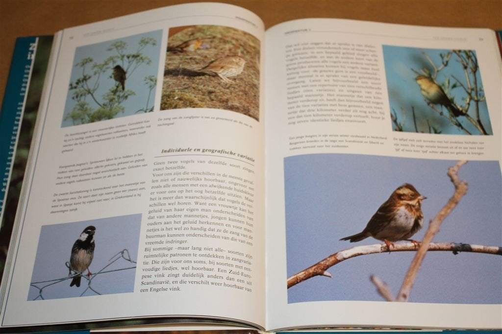 Zangvogels in Europa. Informatie in woord en beeld., Ophalen of Verzenden, Zo goed als nieuw, Vogels