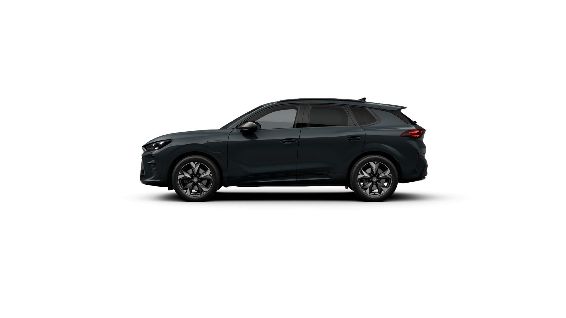 CUPRA Terramar, Auto's, 4 cilinders, 135 min, Bedrijf, Nieuw