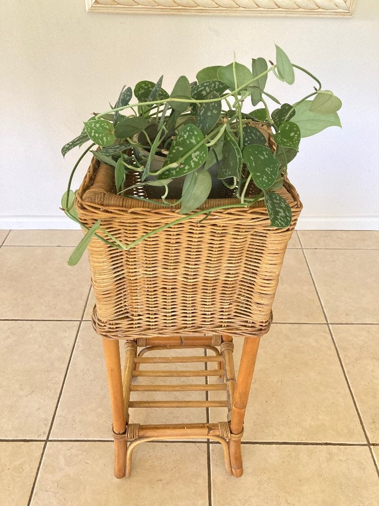 Retro rotan rieten plantenbak vierkant Boho plantenhouder, Ophalen, Vintage, Gebruikt, -