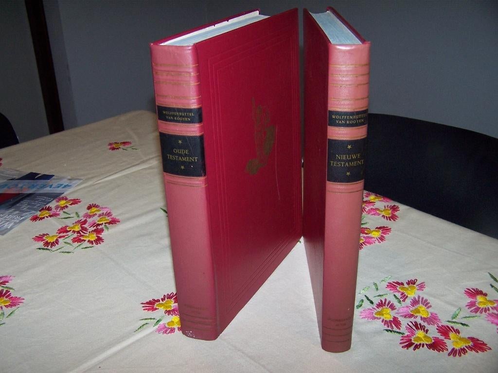 boeken, Ophalen of Verzenden, Zo goed als nieuw