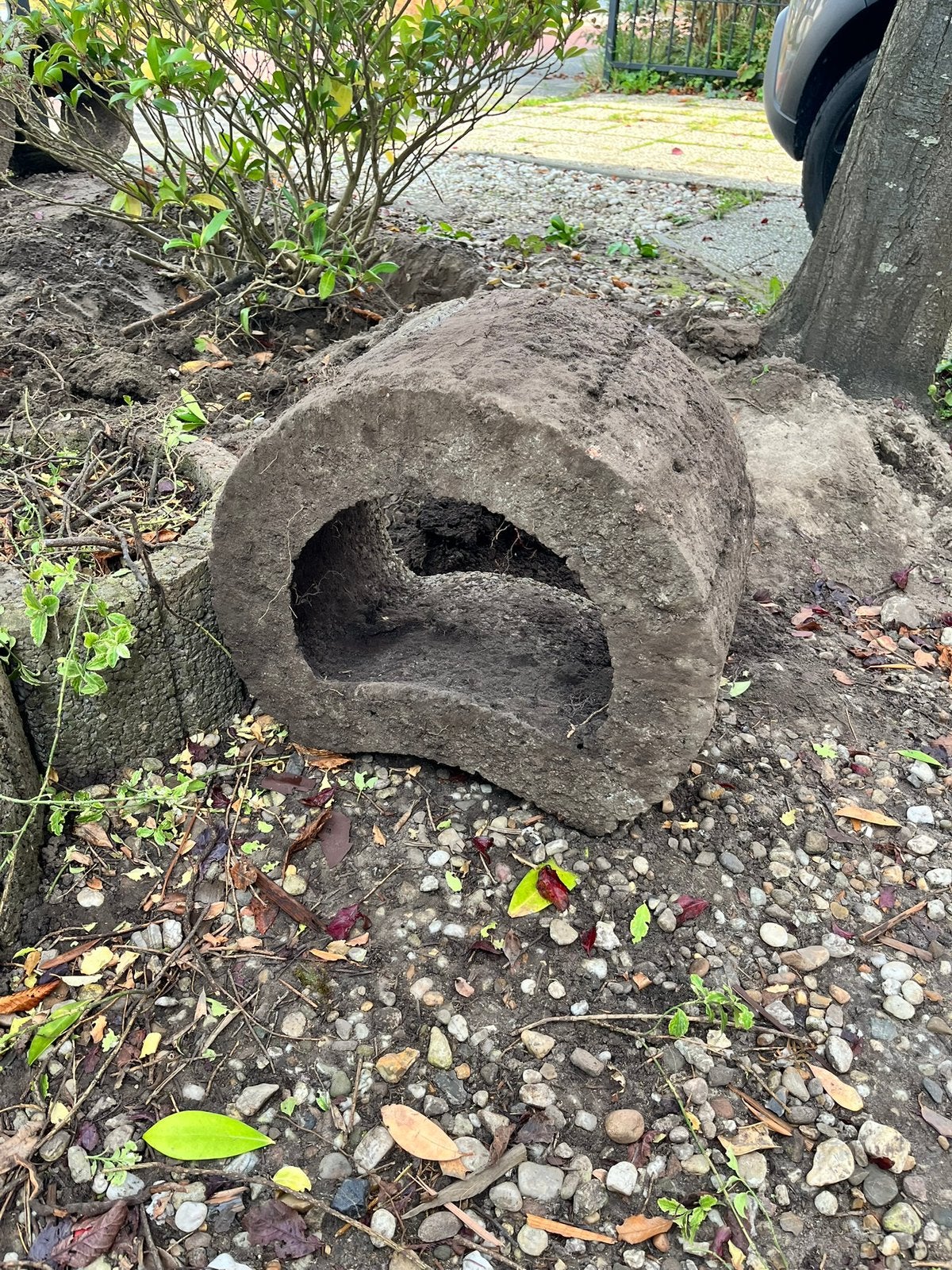 Moonflor - 9 stuks gratis, Tuin en Terras, Ophalen, Gebruikt, Border, Beton