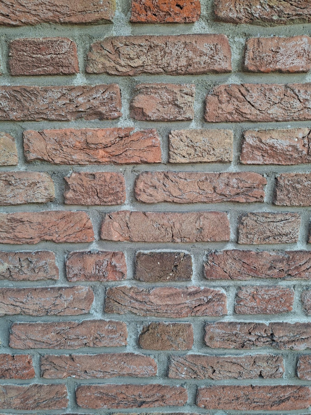 GEZOCHT: 180 stuks ossesteen voor project, Ophalen of Verzenden