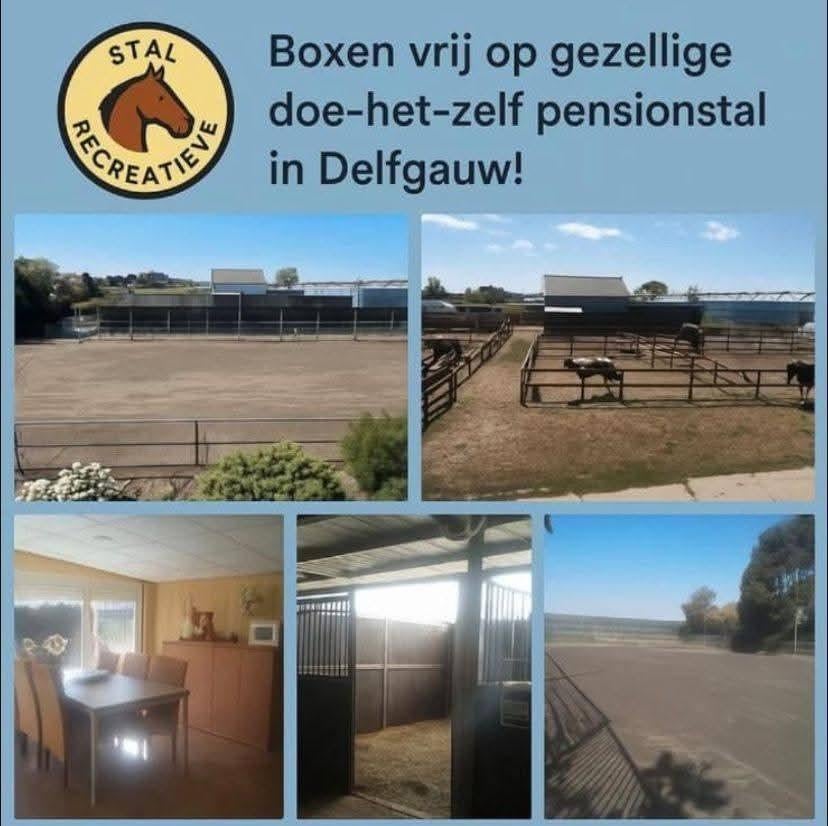 Boxen te huur voor pony's, Dieren en Toebehoren