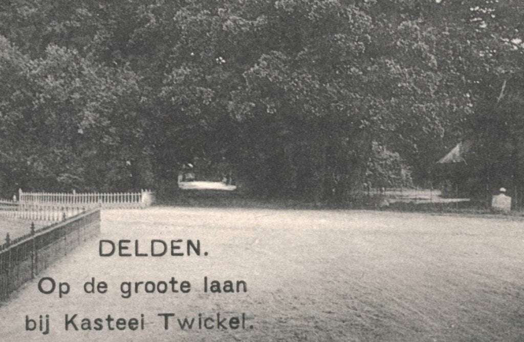 988549 Delden Kasteel Twickel Groote Laan  Onbeschreven, Ophalen of Verzenden, Voor 1920, Ongelopen, Overijssel
