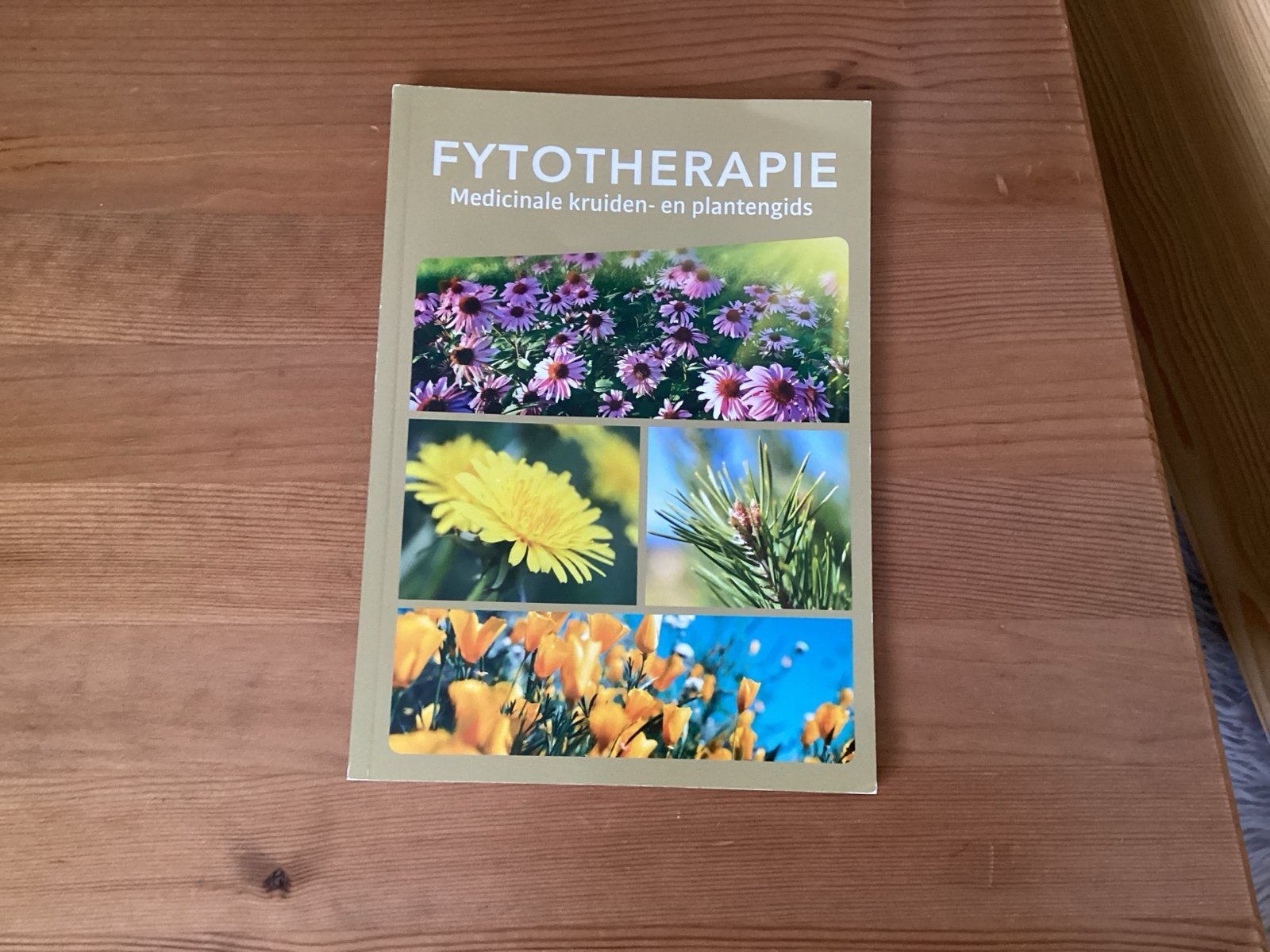 Fytotherapie: Medicinale kruiden- en plantengids, Ophalen of Verzenden, Zo goed als nieuw, Kruiden en Alternatief