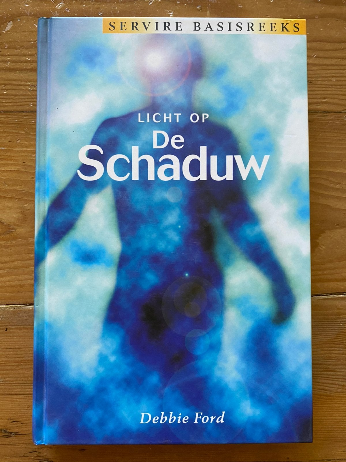 Licht op de schaduw - Debbie Ford, Boeken, Ophalen of Verzenden, Gelezen