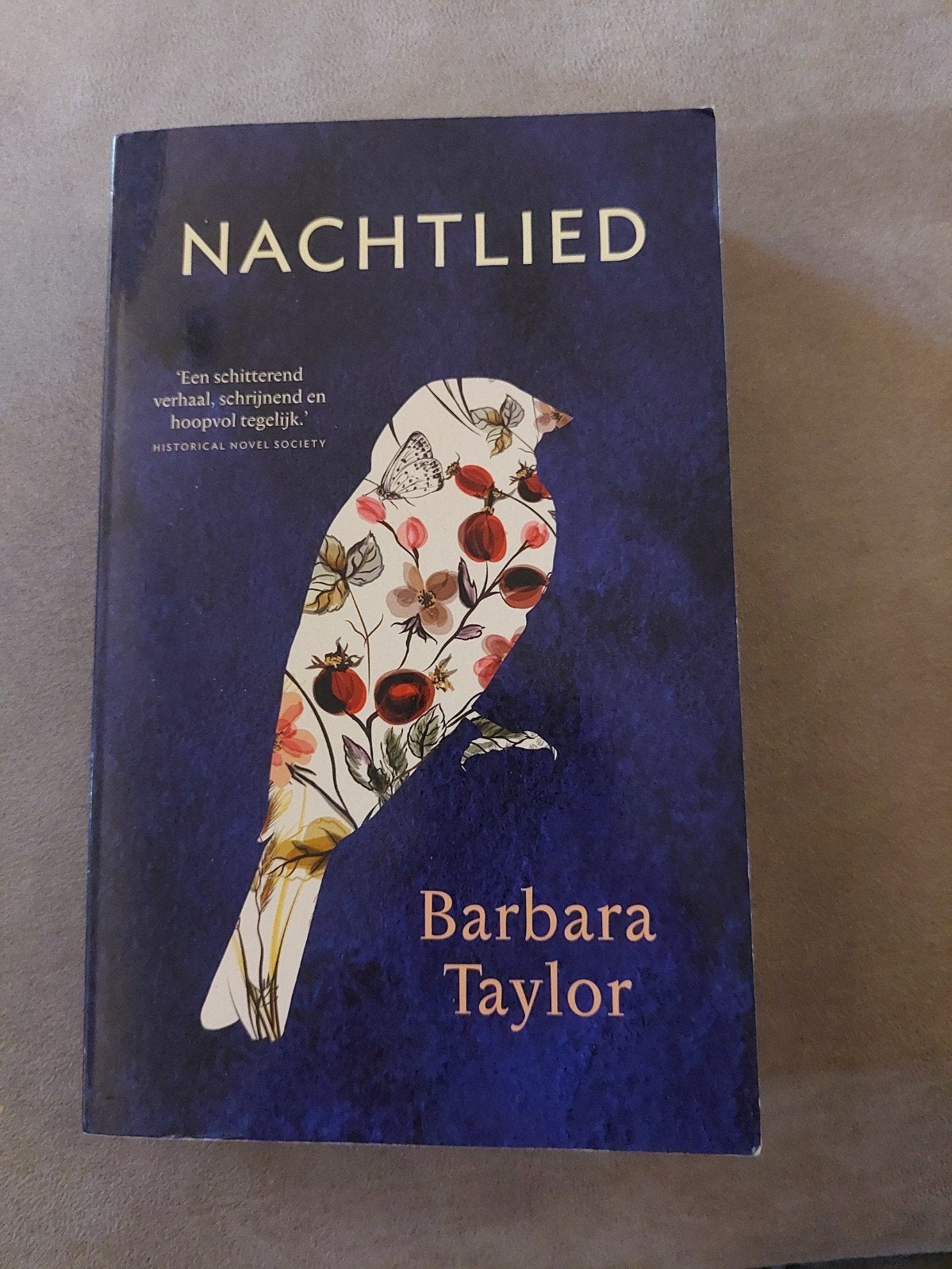 Nachtlied - Barbara Taylor, Ophalen of Verzenden, Gelezen, Barbara Taylor, Nederland