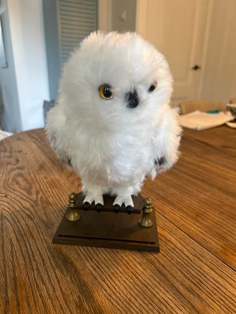 Hedwig (Harry Potter) sneeuwuil, Verzamelen, Ophalen, Zo goed als nieuw, Beeldje of Buste