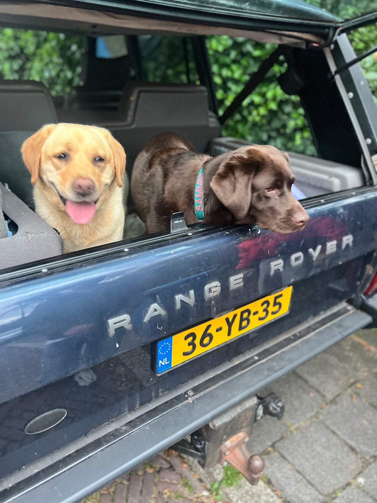 Rover Range Rover Range-rover 1973 Blauw, Auto's, 2000 kg, Blauw, 1927 kg, Geïmporteerd