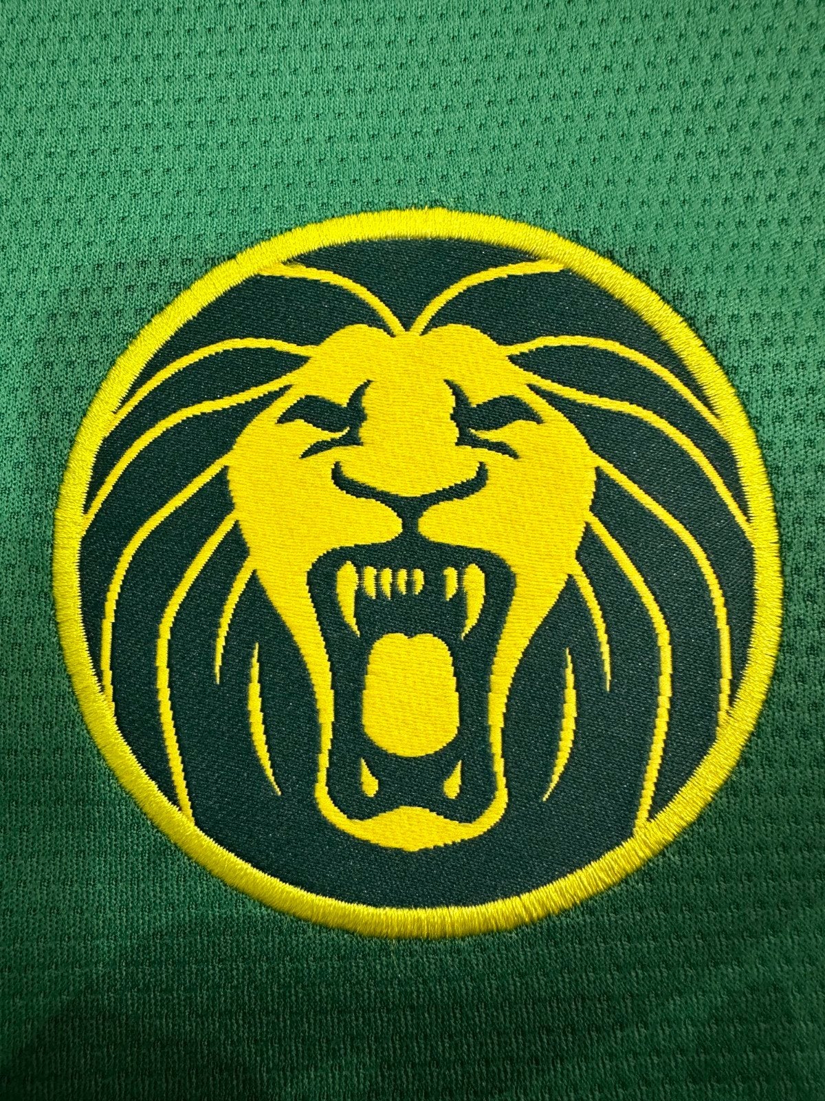 Kameroen 25/26 Thuis Shirt Groen - Nieuw! Fan Versie, Ophalen of Verzenden, Nieuw, Shirt