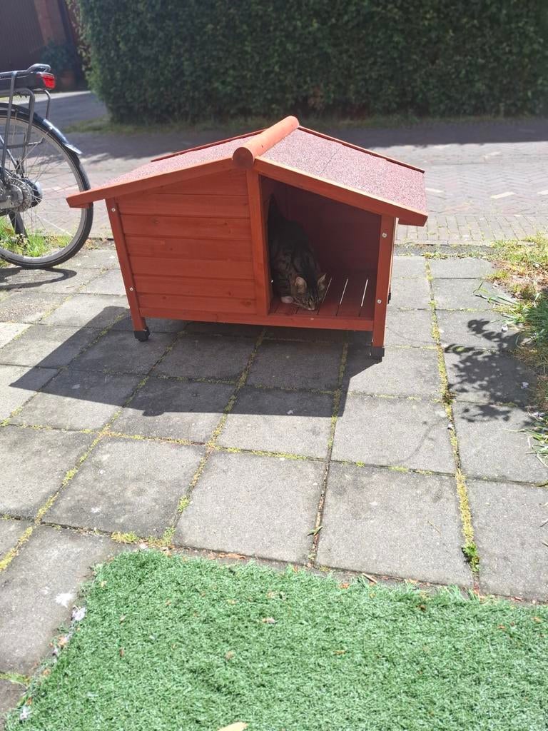 Tekoop honden of katten hok, Dieren en Toebehoren, Ophalen of Verzenden, Zo goed als nieuw, 110 cm of meer, Minder dan 65 cm